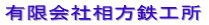 C[[vpVu̐[J[